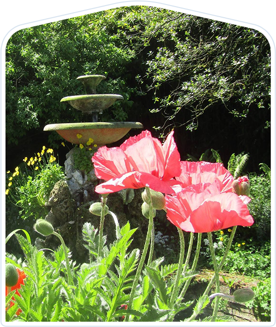 the gardens