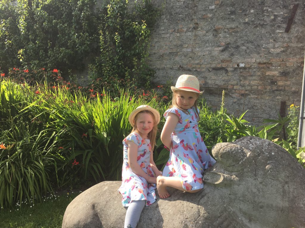 Twins on Bull