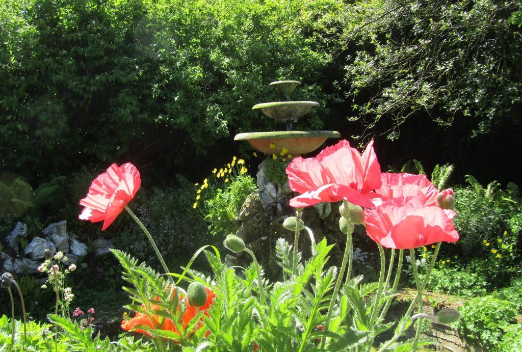 Weeping pillar